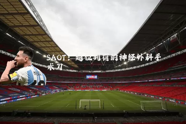 SAOT:越位判罚的神经外科手术刀